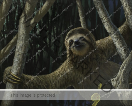 Hyperreal sloth painting in a forest in Costa Rica by Gilberto Ramírez. Hyperreal sloth painting