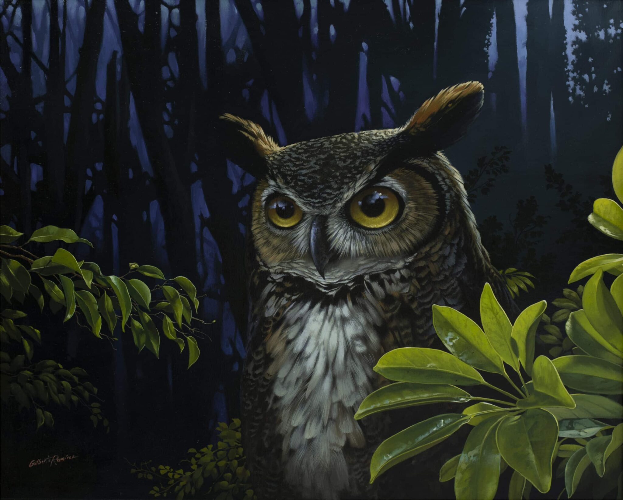 Hyperreal oil painting of an owl in a Costa Rican forest by Gilberto Ramírez. Hyperreal owl painting