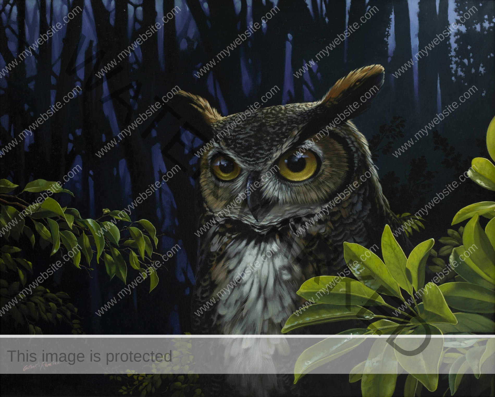 Hyperreal oil painting of an owl in a Costa Rican forest by Gilberto Ramírez. Hyperreal owl painting