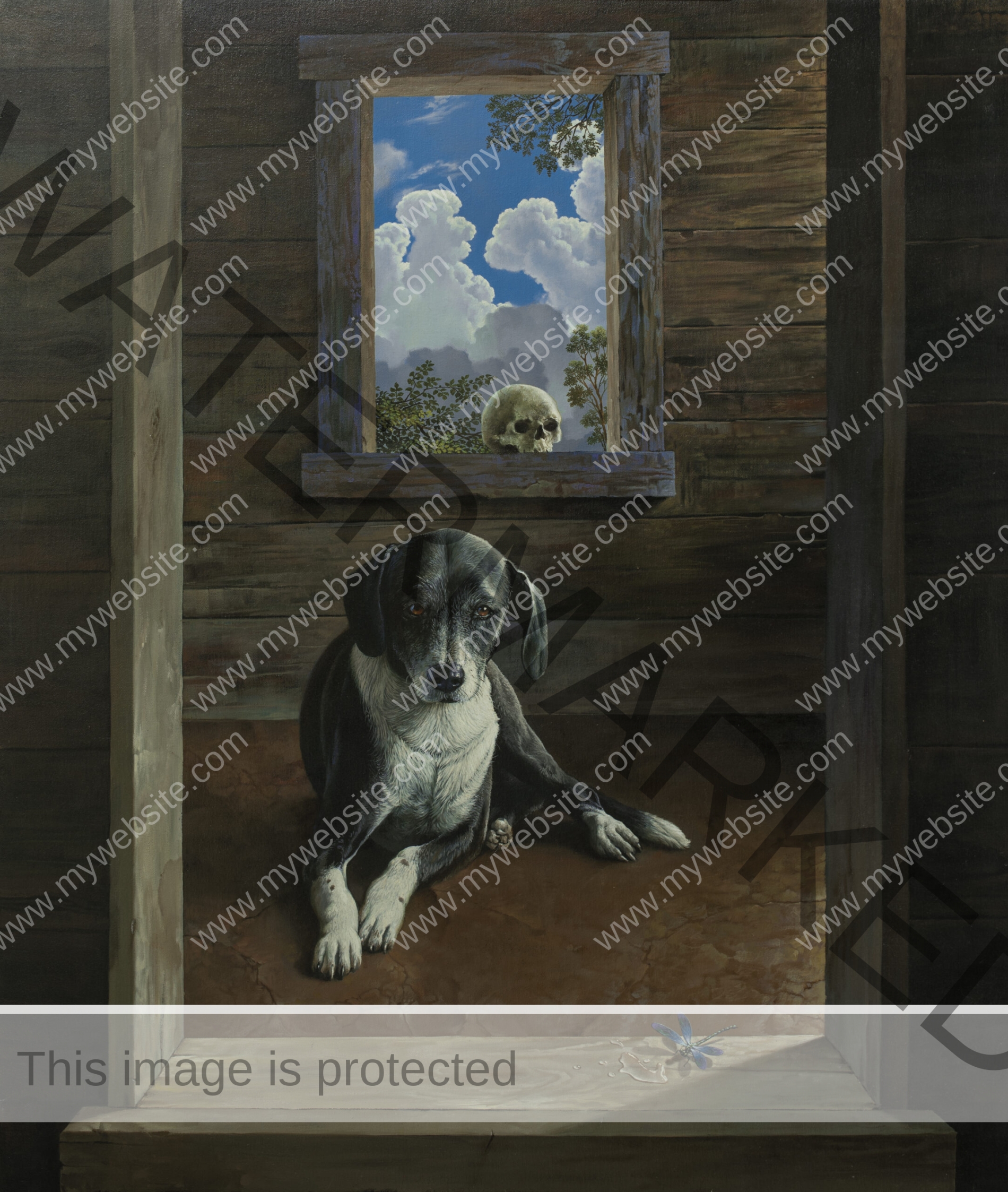 Hyperreal black and white dog painting in a Costa Rican wood cabin. by Gilberto Ramírez. Hyperreal dog painting