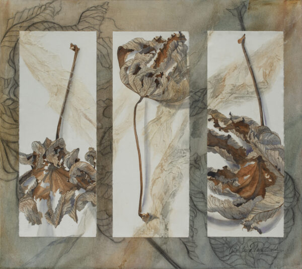 Dried flowers watercolour. Watercolour of three panels of dried flowers, Ana Elena Fernández.