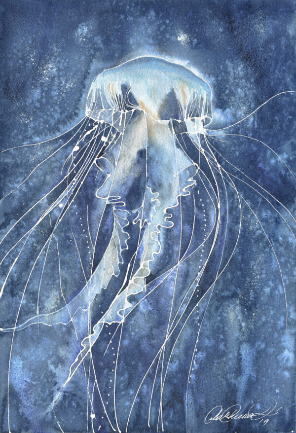 Jellyfish watercolour painting. Deep blue watercolour painting of underwater scene with large jellyfish, Ana Elena Fernández.