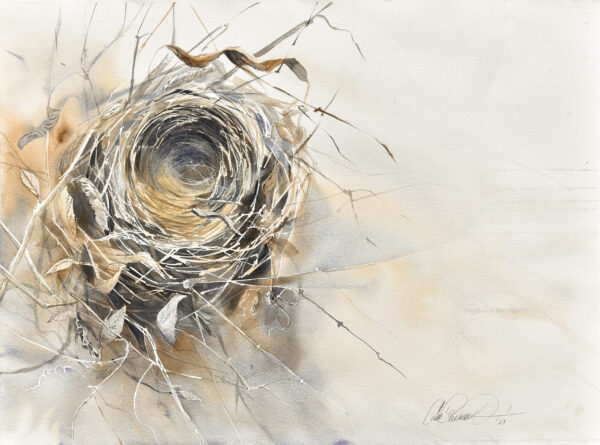 Birds nest watercolour. Detailed, close-up watercolour of a birds' nest, by Ana Elena Fernández.