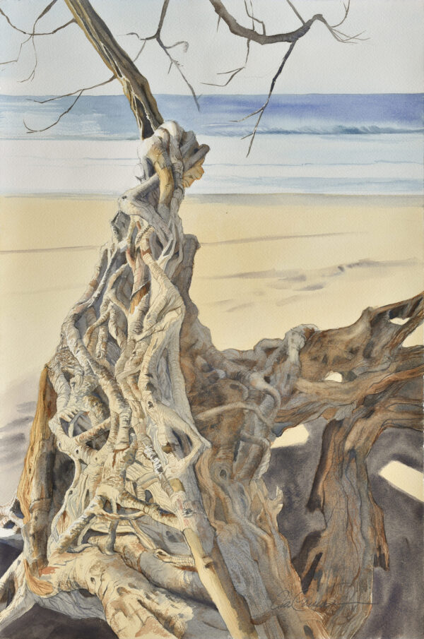 Costa Rica Driftwood painting. Watercolour of driftwood on a beach, in front of the ocean, Ana Elena Fernández.