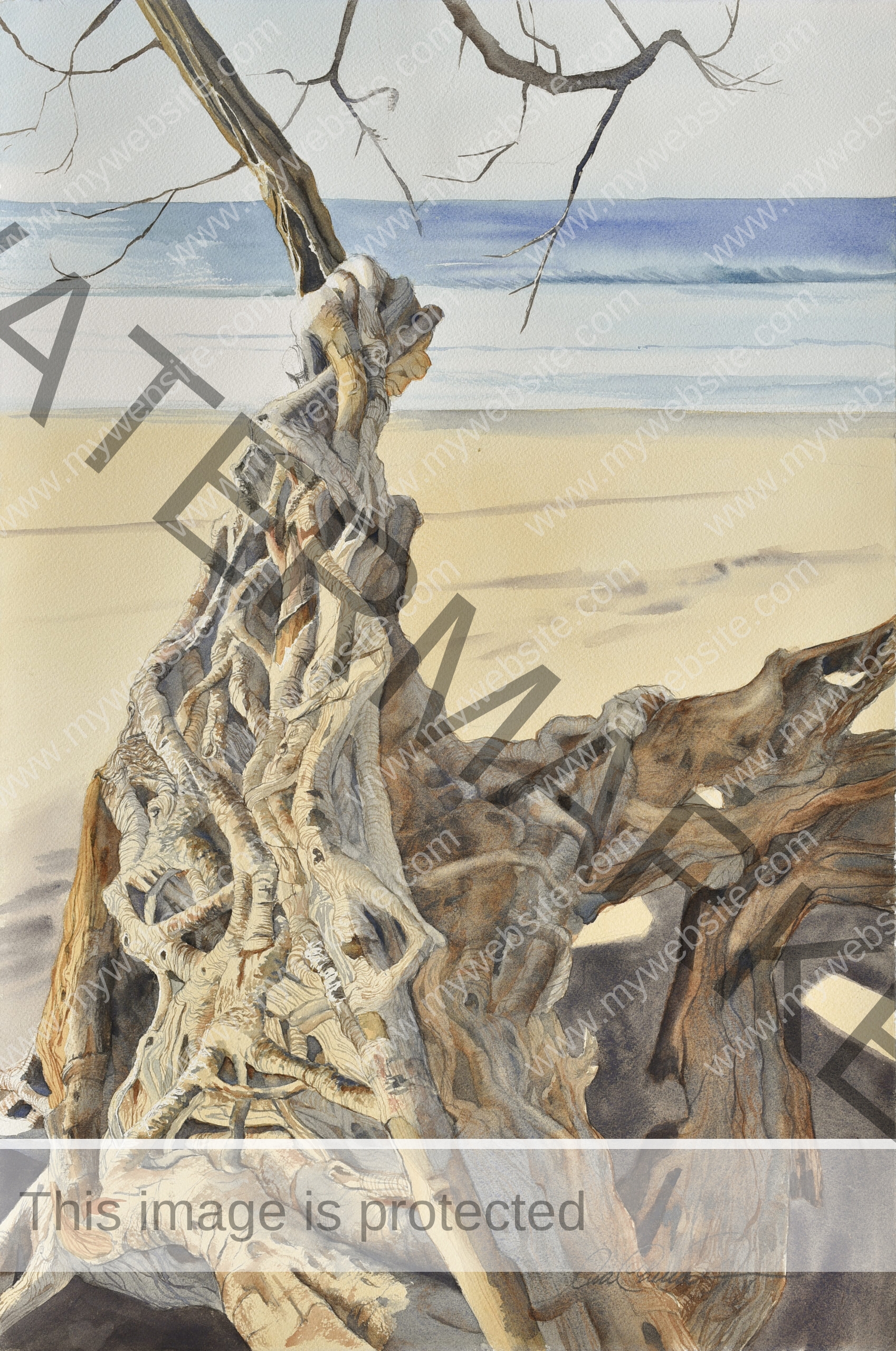 Costa Rica Driftwood painting. Watercolour of driftwood on a beach, in front of the ocean, Ana Elena Fernández.