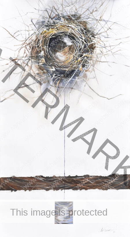 Watercolour of a birds nest, featuring found object of a birds' nest, by Ana Elena Fernández. Birds Nest Watercolour painting