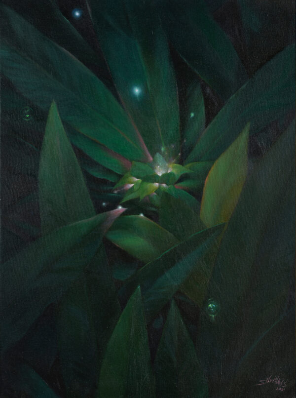 Enigmatic plant painting by Sylvia Laks, depicting dark foliage and spiritual orbs lighting the central leaves. It evokes feelings of otherworldliness.