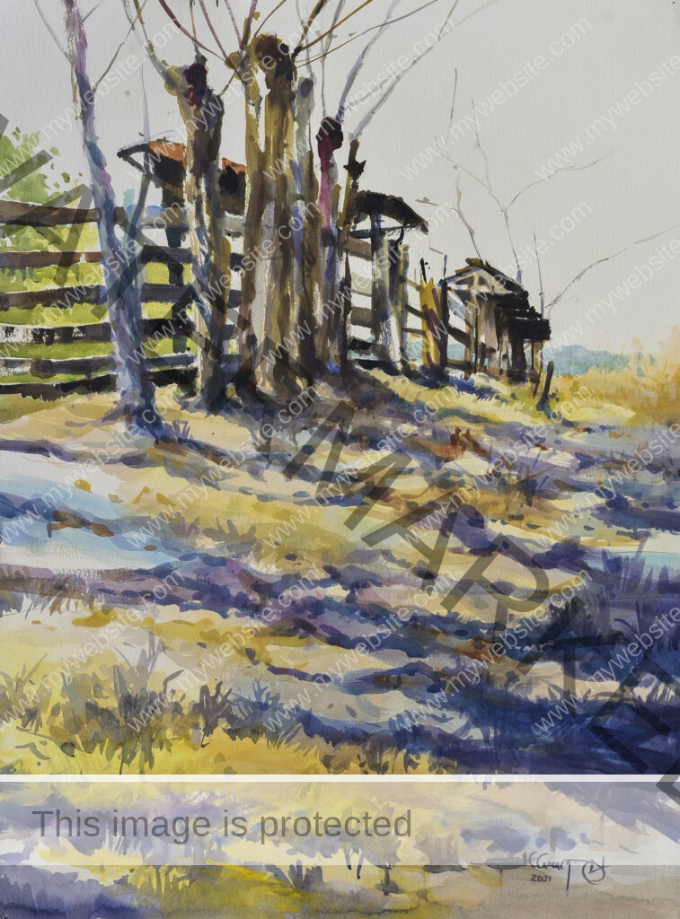 Colourful watercolour painting of a light and shadow on a field against a tree-lined fence, by Juan Carlos Camacho. Paintings for sale.