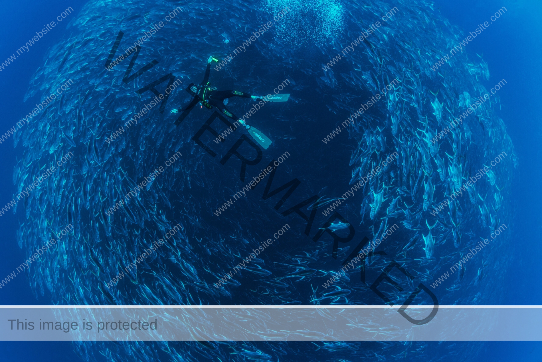 Awe-inspiring deep blue underwater photograph by award-winning Costa Rican photographer Edwar Herreno. A huge bait ball swirls around the frame with a diver, looking tiny in comparison, posing in front of the fish. The image evokes feelings of wonder and surprise. Bull Jack photograph