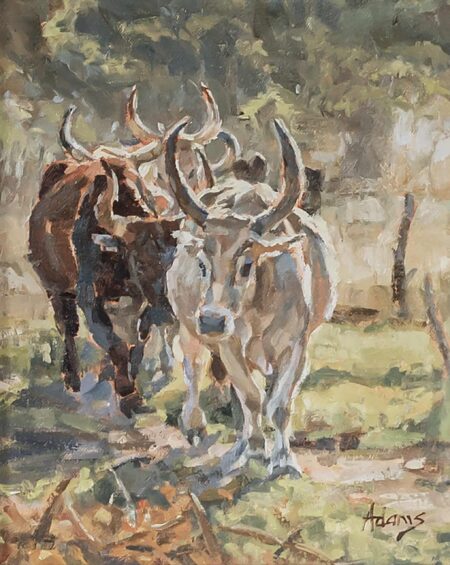 Costa Rican cow painting by Susan Adams, featuring two cows walking in a field bathed in soft afternoon sunlight. It's painted in an impressionist style.