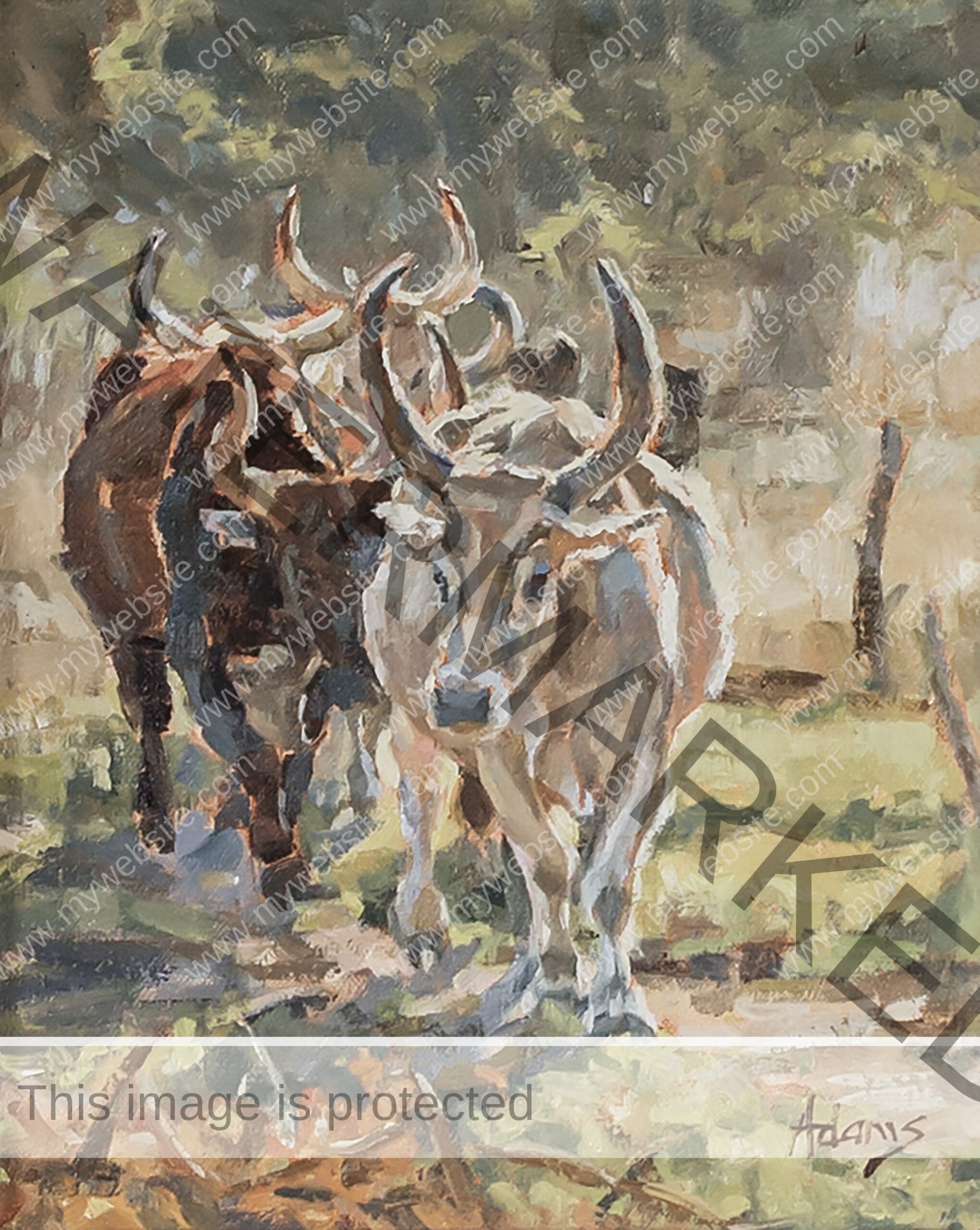 Costa Rican cow painting by Susan Adams, featuring two cows walking in a field bathed in soft afternoon sunlight. It's painted in an impressionist style.