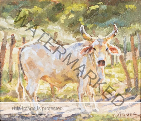 Costa Rican cow oil painting by Susan Adams. It's an impressionist portrayal of a cow that stares out of the canvas, evoking a sense of serenity and warmth.