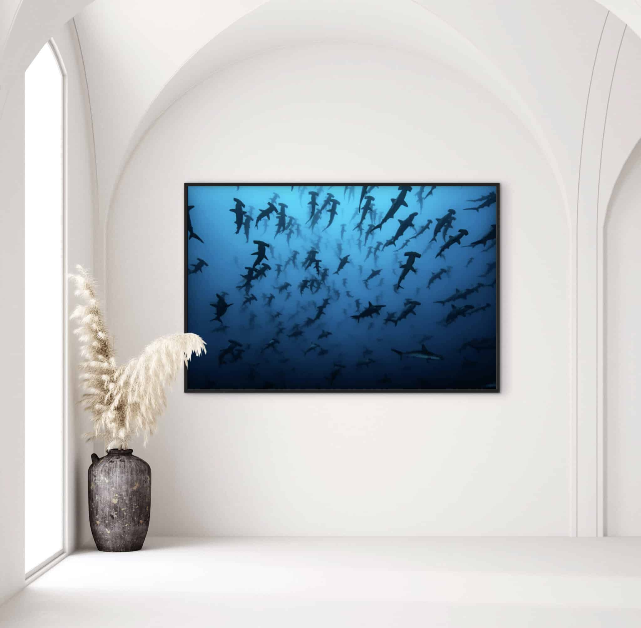 In a refined minimalist gallery, the "School of Hammerhead Sharks" photograph is elegantly framed beneath arched white ceilings. , an original work available at MÍRAME Fine Art.