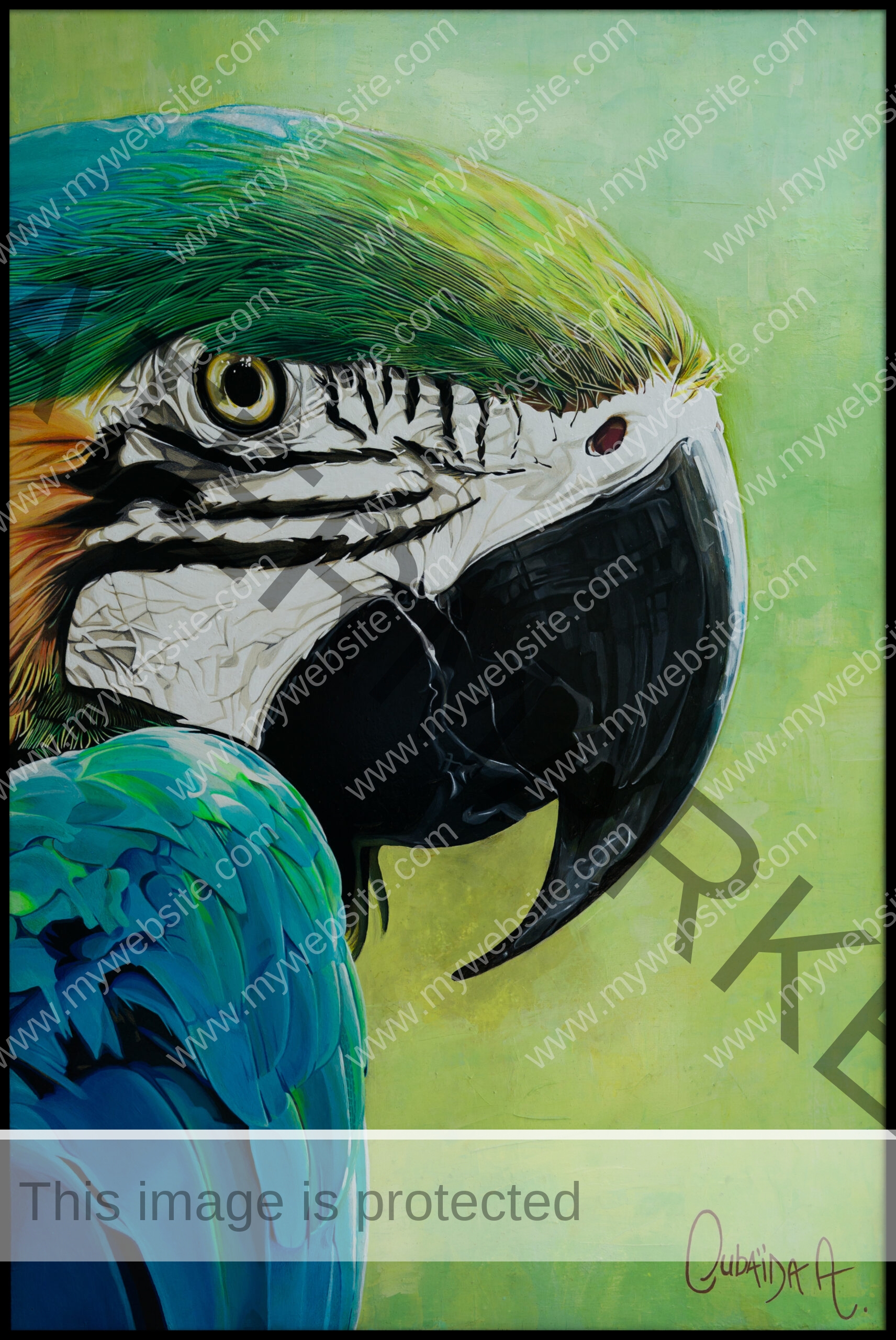 Blue macaw painting by Oubaïda Azzouz.