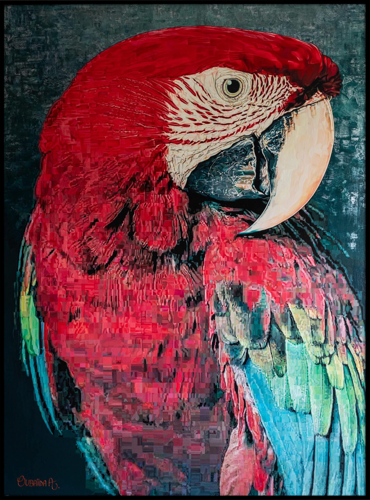 Red macaw painting by Oubaïda Azzouz.