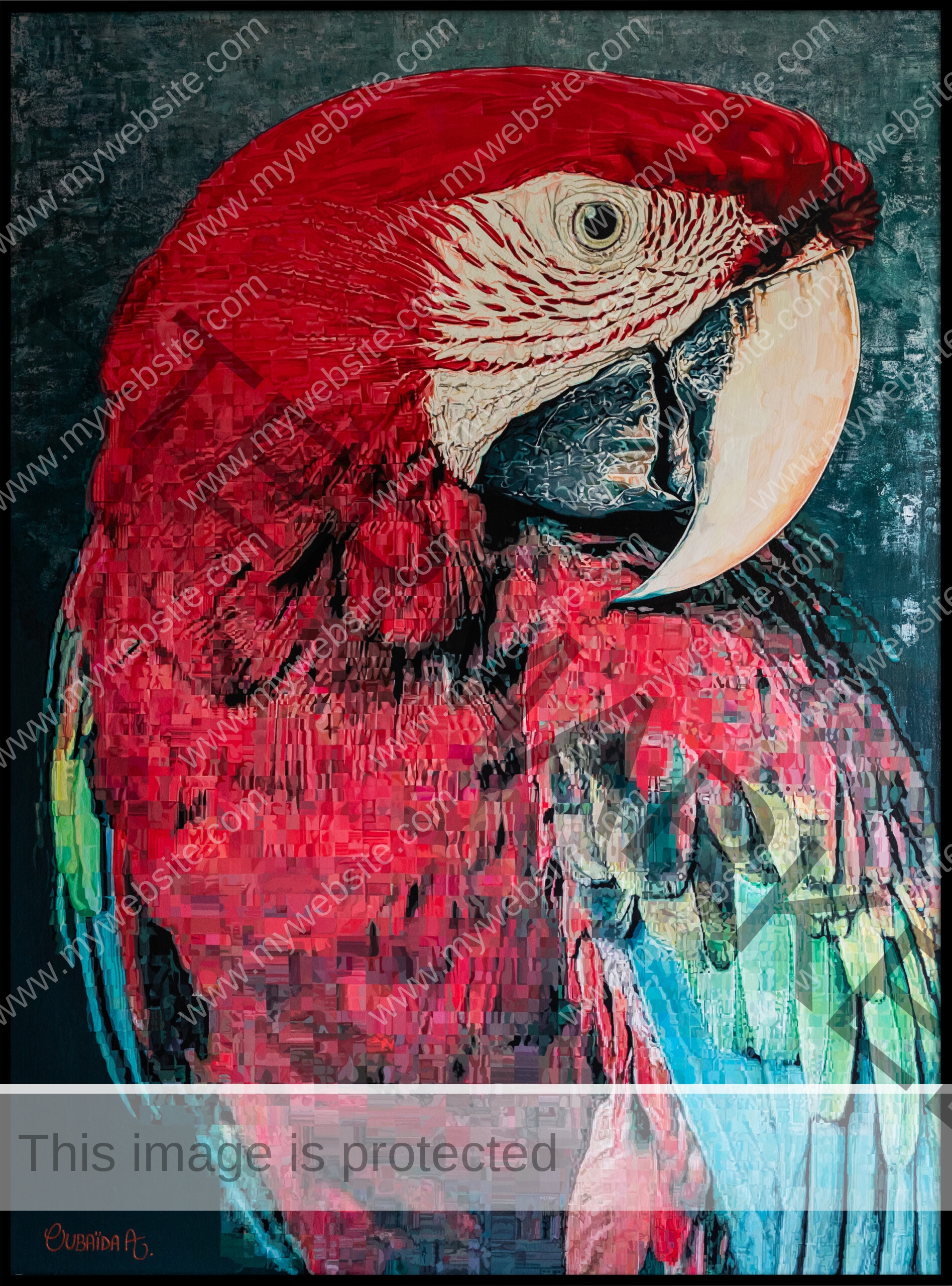 Red macaw painting by Oubaïda Azzouz.