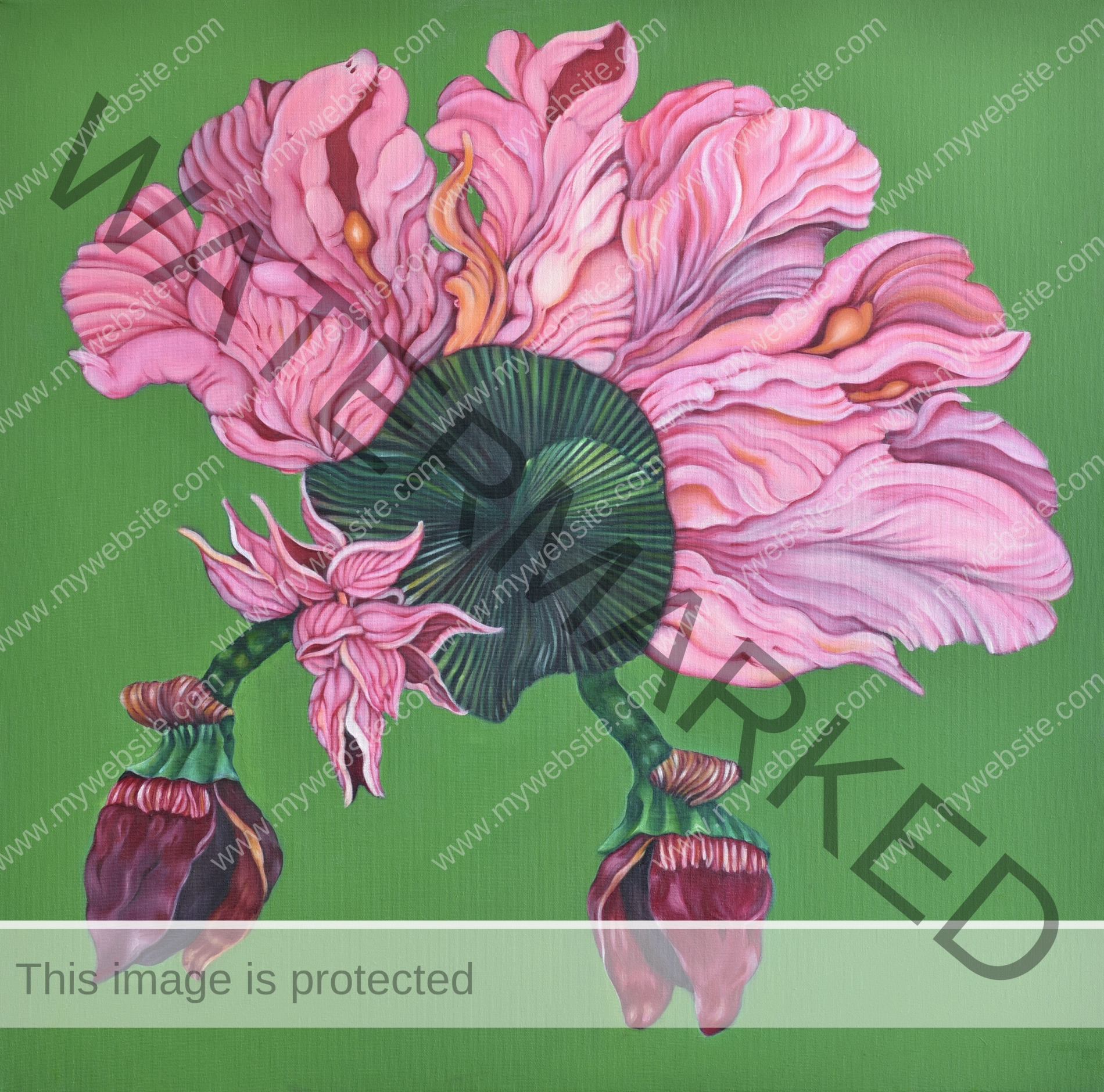 Bright, colourful floral painting featuring pink petals against an abstract green background. This painting by Daniela Marten Rothe evokes a sense of eroticism, sensuality and feminine power. Sensual flower painting