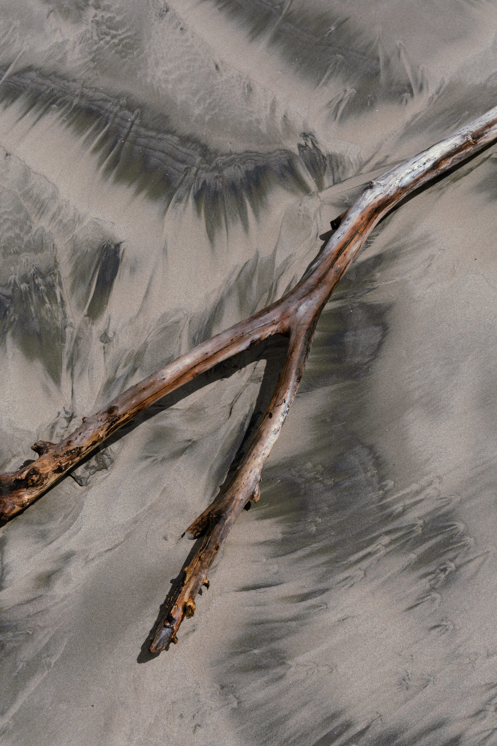 Costa Rican beach photography series. Close-up photography of a stick on sand, on a beach, by Juan Tribaldos.