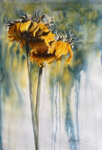 Wilting sunflower painting by the Costa Rican Watercolour artist, Ana Elena Fernández.