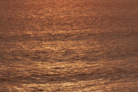 Gold ocean reflections on the surface of an ocean, creating a shimmery effect, by Leonardo Ureña.