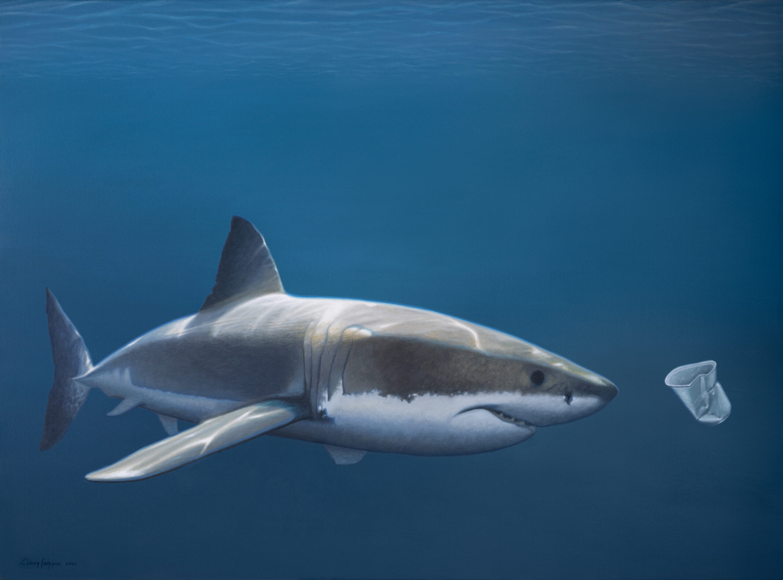 Hyperrealist painting by Costa Rican artist Eliecer Rodriguez, featuring a shark swimming towards a discarded plastic cup, commenting on the effects of our consumer culture on marine life.