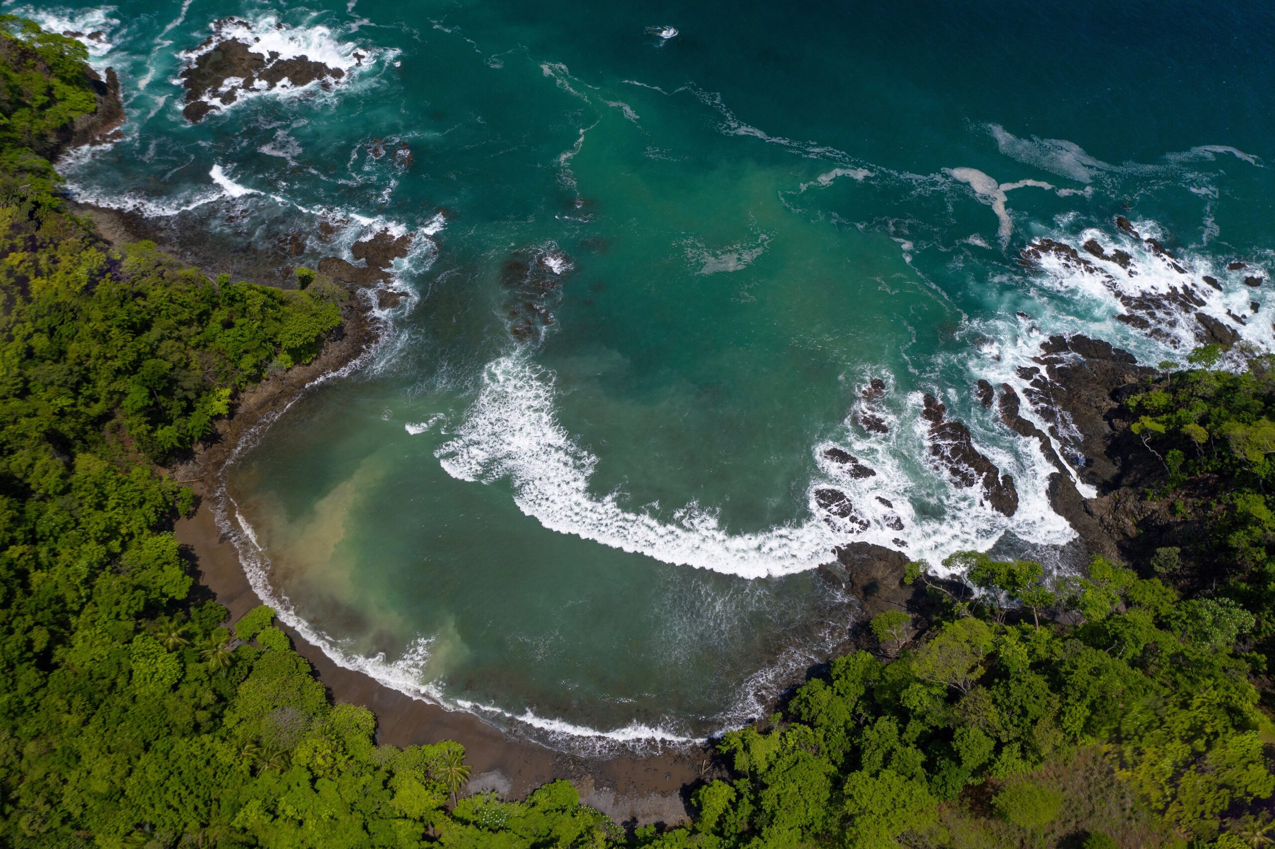 Pacific coast landscape photograph featuring an aerial view of a tree-lined bay and water crashing on rocks, by Julio Sequeira.