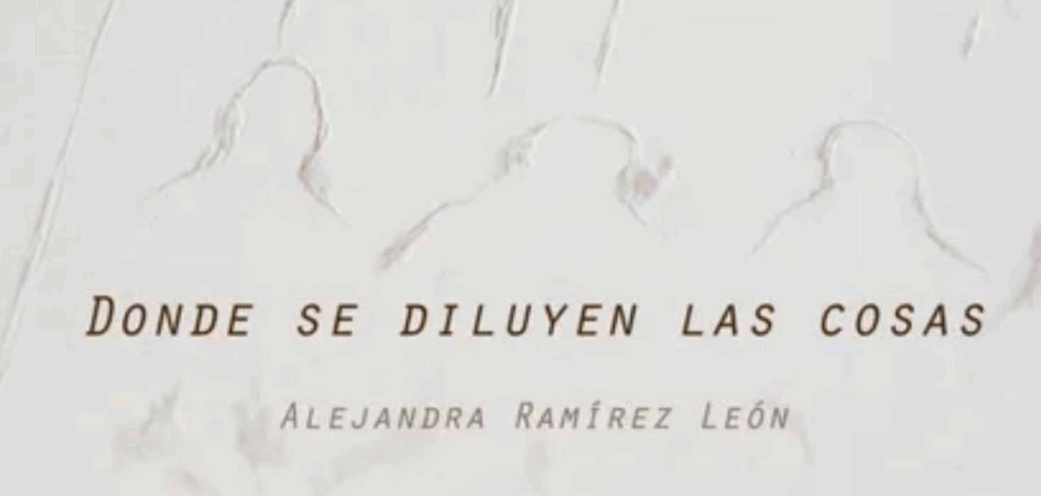 Exhibition view of Donde se diluyen las cosas by Costa Rican artist Alejandra Ramírez León at the Museum of Costa Rican Art in San José, featuring mixed-media polyptychs and paintings exploring memory, family archives, and the passage of time.