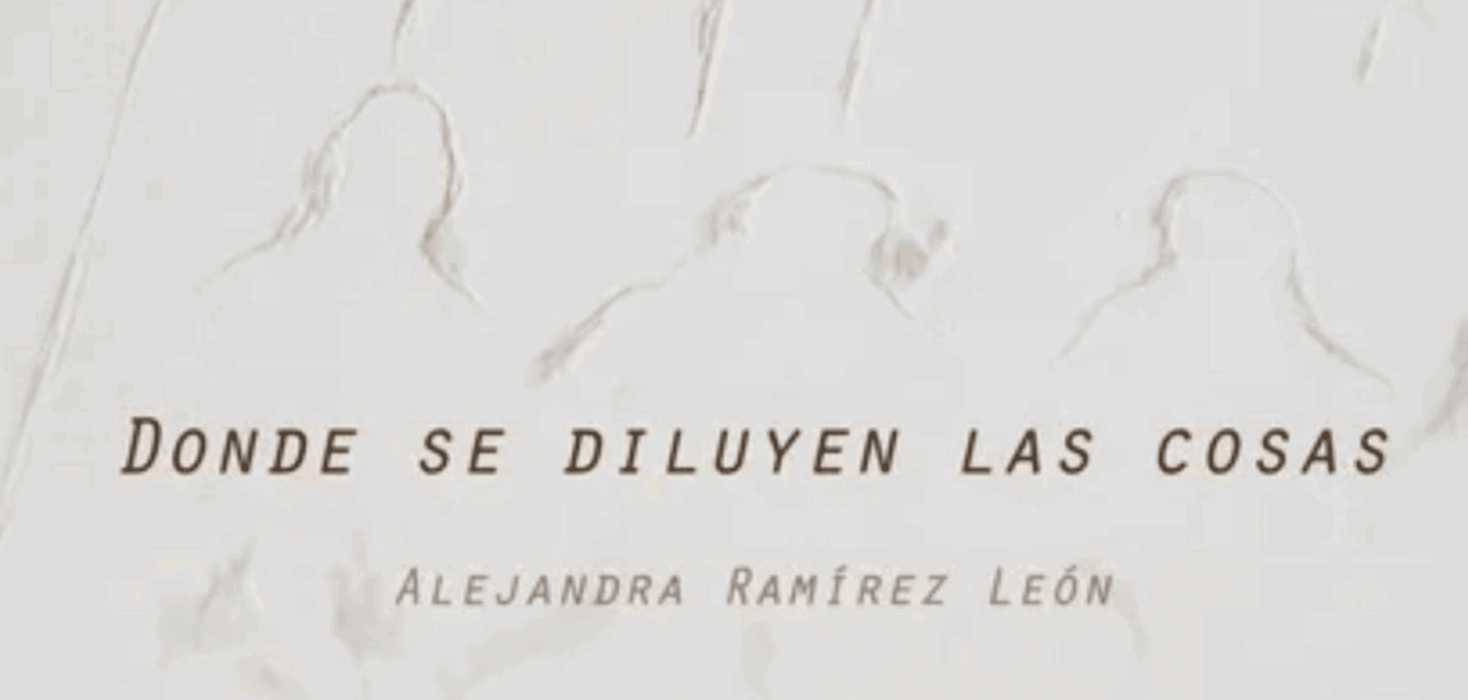 Exhibition view of Donde se diluyen las cosas by Costa Rican artist Alejandra Ramírez León at the Museum of Costa Rican Art in San José, featuring mixed-media polyptychs and paintings exploring memory, family archives, and the passage of time.
