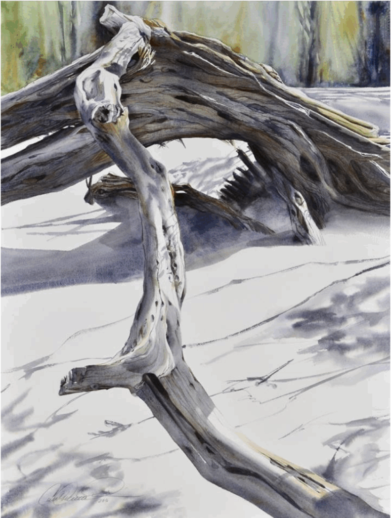 Watercolour coastal landscape painting showing weathered branches resting on white sand, with a long pale trunk extending diagonally across the foreground and darker intertwined wood behind it. Soft green and yellow washes indicate blurred foliage in the background.