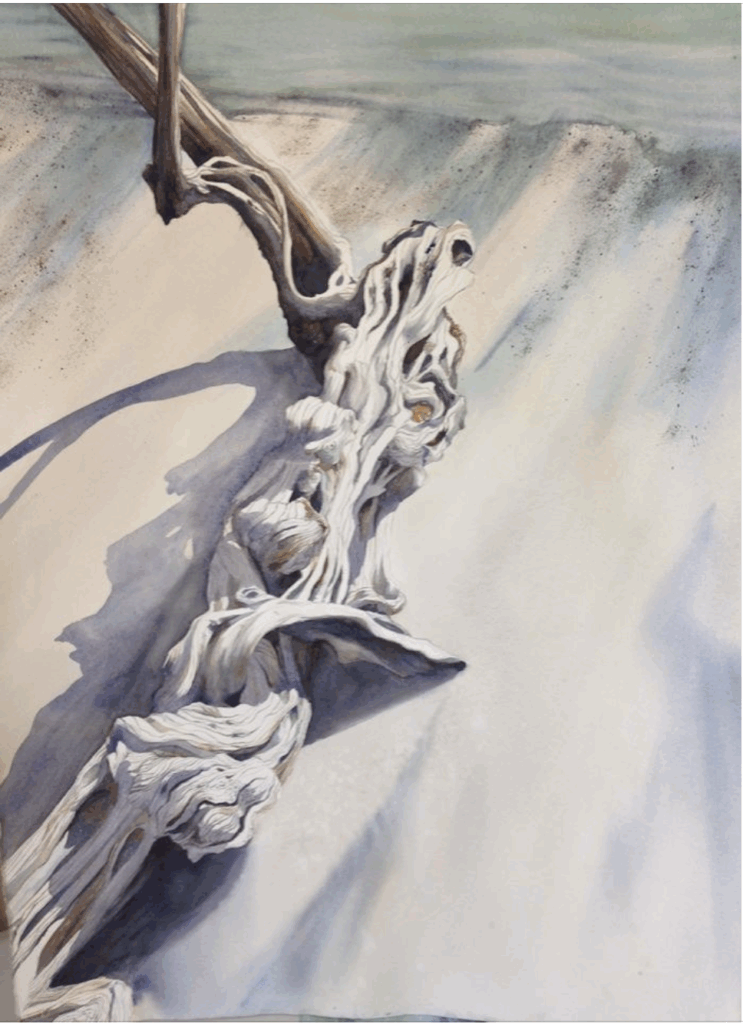 Watercolour painting of a wisted, gnarled driftwood on sand, from Ana Elena Fernández' coastal landscape painting series