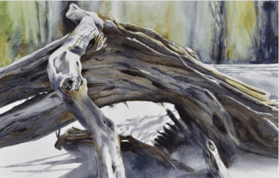 Watercolour coastal landscape painting showing weathered branches resting on white sand, with a long pale trunk extending diagonally across the foreground and darker intertwined wood behind it. Soft green and yellow washes indicate blurred foliage in the background.