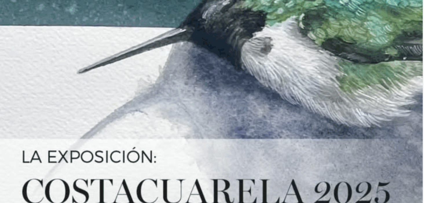 Advertising a watercolour exhibition with a green and grey painting of a dead hummingbird, with the words "Costacuarela 2025" organised by The Costa Rican Association of Watercolourists.