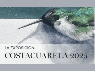 Advertising a watercolour exhibition with a green and grey painting of a dead hummingbird, with the words "Costacuarela 2025" organised by The Costa Rican Association of Watercolourists.