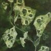Fotosíntesis, abstract acrylic on canvas by Costa Rican botanical painter Lorena Villalobos — leaf forms and seed heads in deep green, white and black.