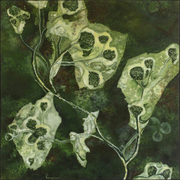 Fotosíntesis, abstract acrylic on canvas by Costa Rican botanical painter Lorena Villalobos — leaf forms and seed heads in deep green, white and black.