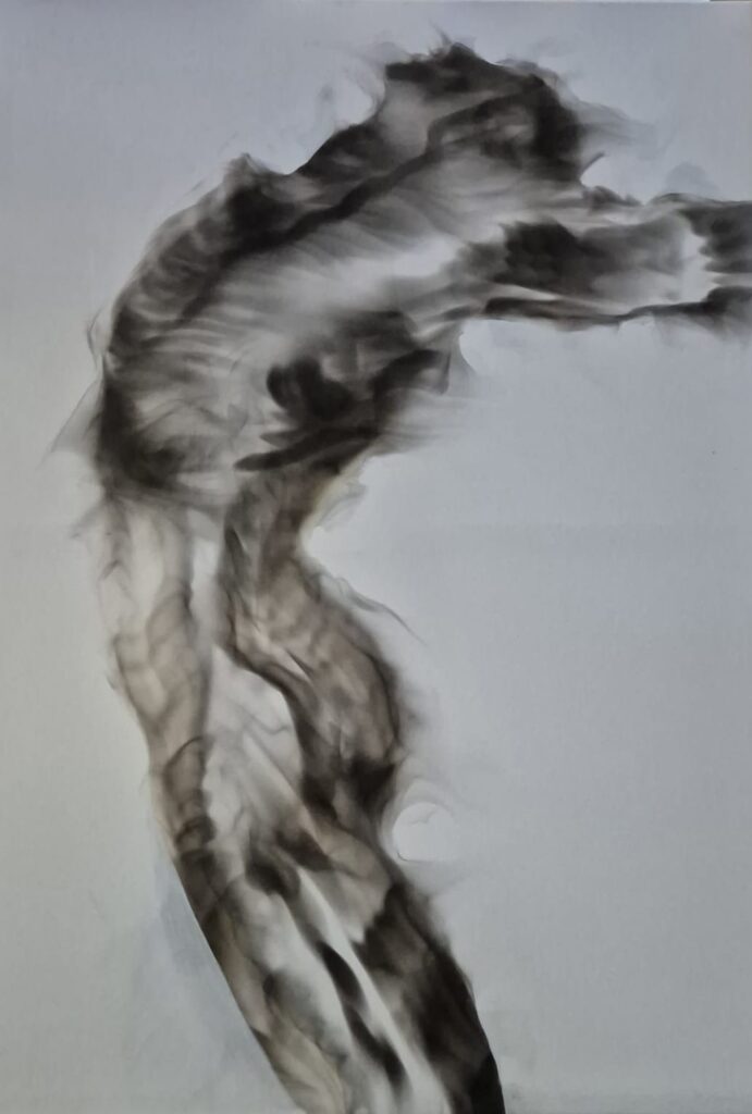 A sinuous, smoky black and gray abstract form ascends a pale ground, its blurred contours evoking motion and refined fluidity. , an original work available at MÍRAME Fine Art.